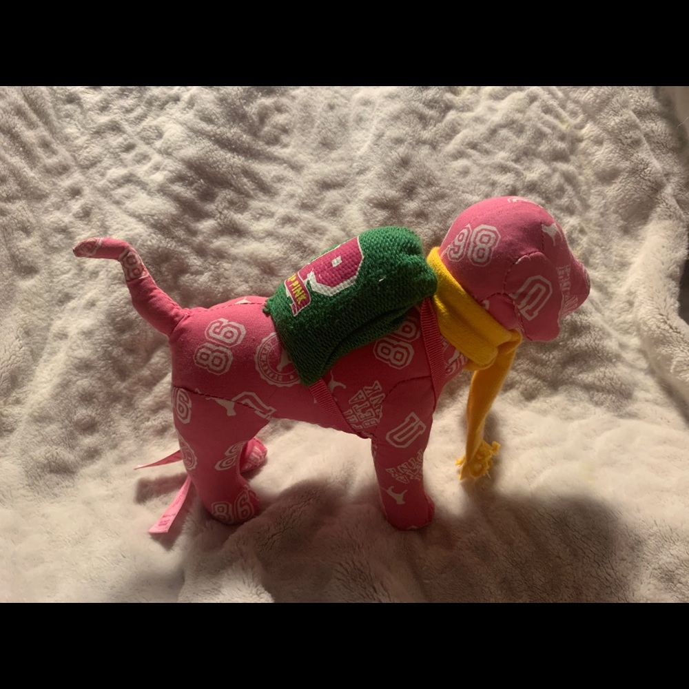 Pink vs dog
